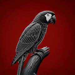 b3TNvjWd