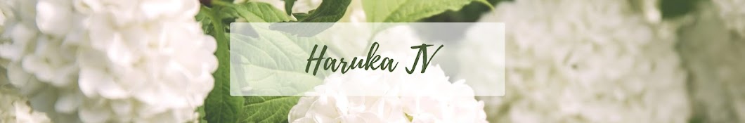 Haruka TV YouTube channel avatar