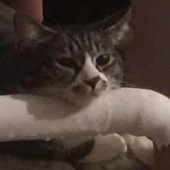 藤田
