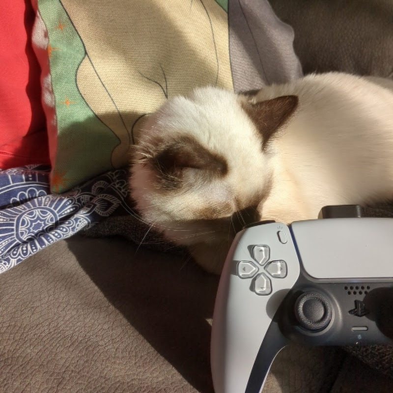 Hire ∞ psluna & planes ∞ — Music & Audio YouTube creator for sponsorships