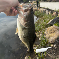 RippinLips208