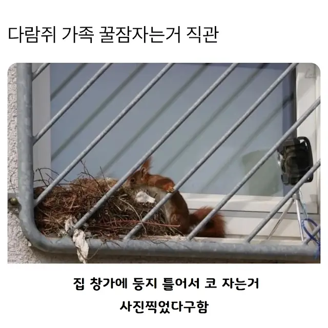 BlockNote image