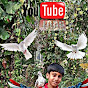 Rishav's daily vlog  logo