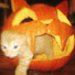gZJZw89Iw5U-channel-avatar-vibes halloween 