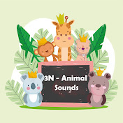 3N - Animal Sounds