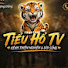 W9xBGOr2FZE-channel-avatar-Tiểu Hổ TV
