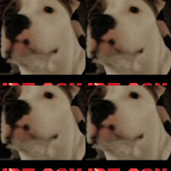 thumbnail img1x1