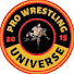 YaCW2eMEK8U-channel-avatar-Pro Wrestling Universe