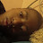 @roseofnamibia