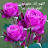 @ماماسارة-ز3ه