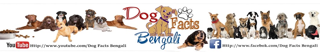 Dog Facts Bengali Аватар канала YouTube