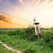 Serene Moment