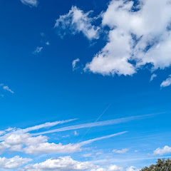 けん_心に響く1分間動画