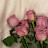 @hala_a_a14