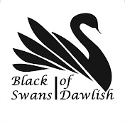 Black Swans of Dawlish