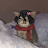 @Jawhara777-j8w