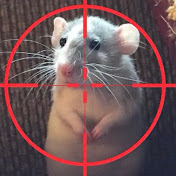 Assassino Di  Ratti  Verbalmente