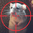 fme5UT-PaYo-channel-avatar-Assassino Di  Ratti  Verbalmente