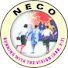 VZ_bGa7ypuI-channel-avatar-Neco Network