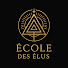 i5CcbaIbArM-channel-avatar-École des Élus
