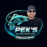 SAPSa843SBU-channel-avatar-Brandon Pekarek