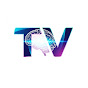 Topic Vision  logo
