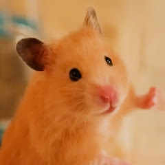 バラバシエイジ。