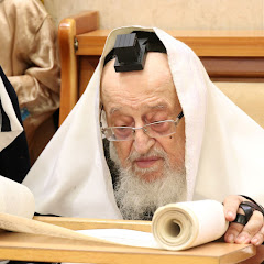 תיעודים,בנהורא עילאה מראות קודש מרן הגרמ"צ ברגמן שליט"א
