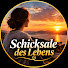4x3RSLkjIKw-channel-avatar-Schicksale des Lebens and 3 more