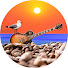 NK0FoJAalAE-channel-avatar-Brighton Beach Busking BBB