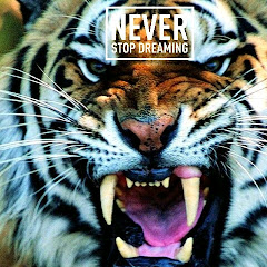 Never stop dreaming 