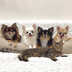 チビファミリーのオーナー