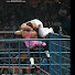 u2Pq9Io0C80-channel-avatar-The WWE Spot Guy