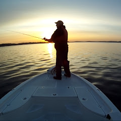 Bay Boat and Bike