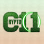 Crypto1O1 logo