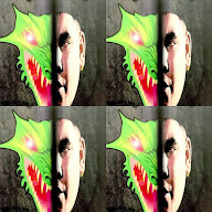 thumbnail img1x1