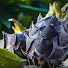 5GGmj_A7e_w-channel-avatar-Suriname's Horticultural Society