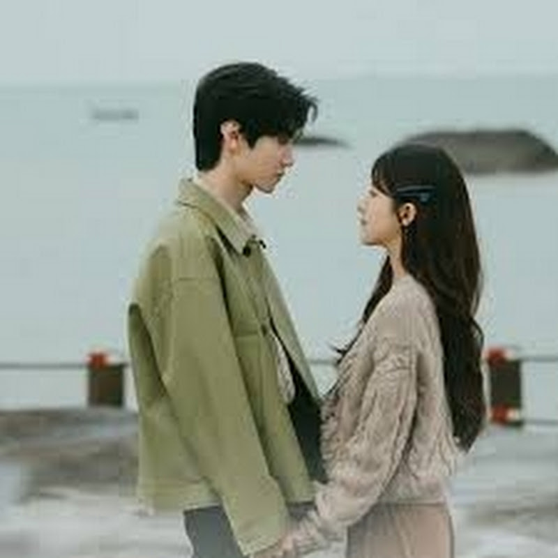 Chinese L Drama