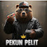 WgPZ2ldKPfQ-channel-avatar-Pekun Pelit