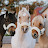 Harlow and Family