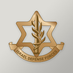 Israel Defense Forces net worth