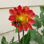 Flowers and Bees Homegarden logo