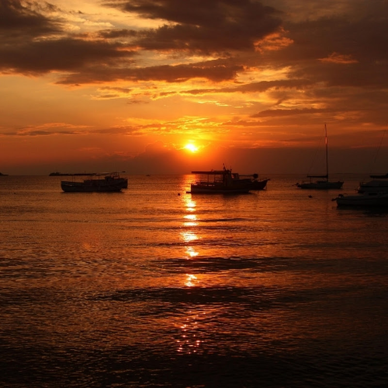 Generate Motivation New Star Generation