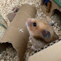 luvly hamster