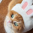 SLZiLI2nPkA-channel-avatar-Fudge