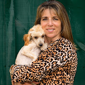 A R Country Kennel Breeder Puppy Transition Coach