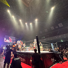 あゆむのプロレス