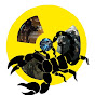 Scorpion Big M logo