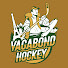 t9e3rXRN5ME-channel-avatar-Vagabond Hockey
