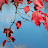 @신념g7c5c